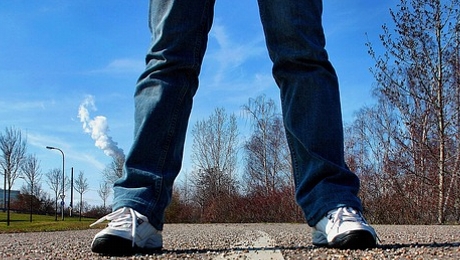 Religionsforscher rufen zu Toleranz auf